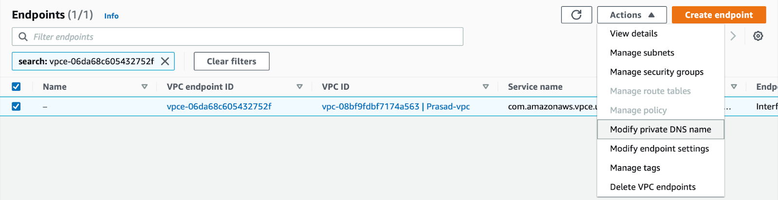 AWS VPC Modify private DNS name